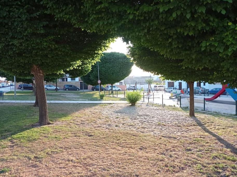 Acogedor Loft A 30 Minutos De La Playa Y Montana Appartement Lebrija Buitenkant foto