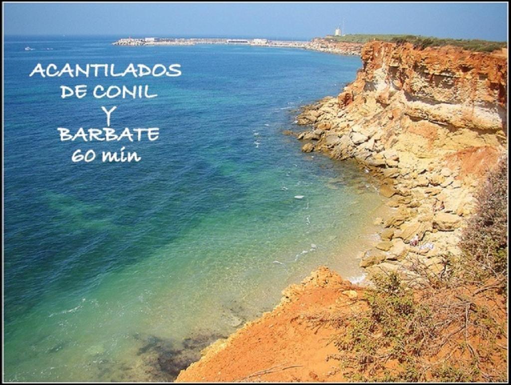 Acogedor Loft A 30 Minutos De La Playa Y Montana Appartement Lebrija Buitenkant foto